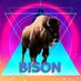 Bison_Actual