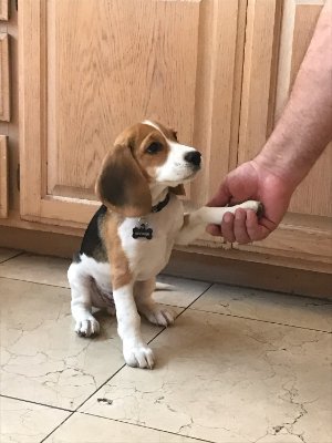 BoomersDaddy19's profile picture. 