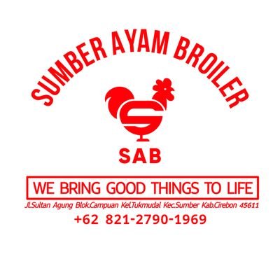 Sumber Ayam Broiler suplayer ayam terpercaya di cirebon