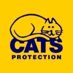 Rugby Cats Protection