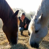 Heidi@Le Moulin87🇪🇺🌱🇫🇷🌻🦋🐝🐷🐴🐶(@LimpenhoeGirl) 's Twitter Profile Photo