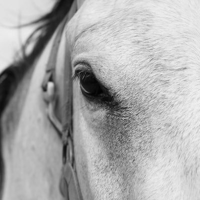 April__224's profile picture. 