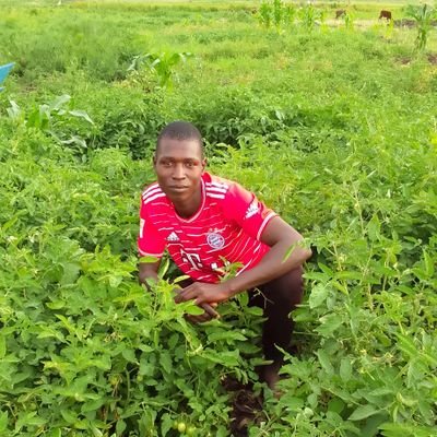 SenyongaRatifu's profile picture. 