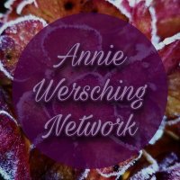 Annie Wersching Network(@WerschingNet) 's Twitter Profile Photo