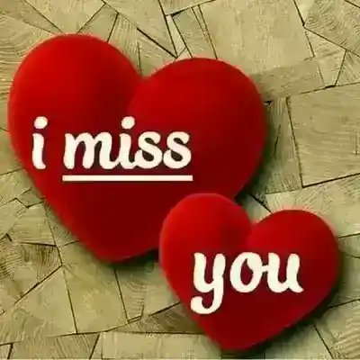 right13255027's profile picture. 