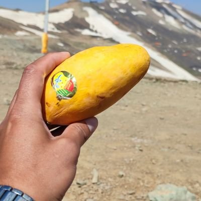 yyasharr's profile picture. trying to be a Developer | IT Man | Master of Engineering in IT |