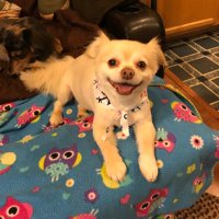 Tammy Ultra MAGA 7 (@tammymaga2) 's Twitter Profile