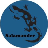 The Salamander Sailing Adventure (@salamanderadven) 's Twitter Profile Photo