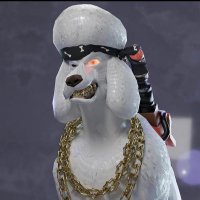 CYBERDOGZ(@gocyberdogz) 's Twitter Profile Photo