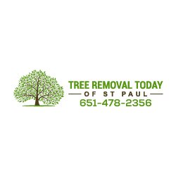 Treeremoval651's profile picture. Tree Removal Today Of St Paul. 
519 Edmund Ave W Unit 2
St Paul Mn. 55103
651-478-2356