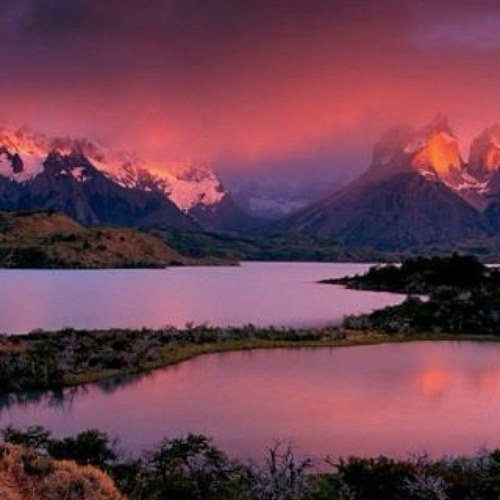 MeshariAldehani's profile picture. 