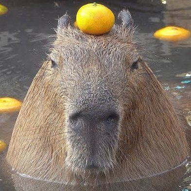 gorbington's profile picture. 