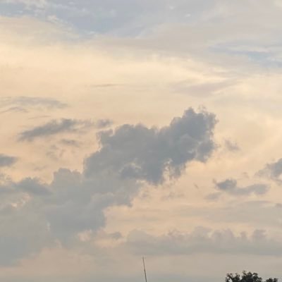 anngoodside's profile picture. here’s the good side of me. she/her | INFP