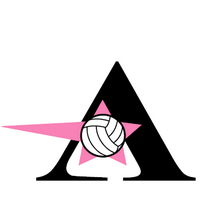 AbsoluteVolleyball (@absolutevb) 's Twitter Profile