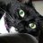 Jr101173's profile image