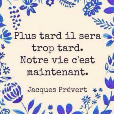 musique 🎶 guitare 🎸 ciné .. les roses 🌹 et Beethoven ❤️