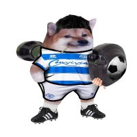 AndyTheDogFellaWoofWoof (@andyqpr067) 's Twitter Profile