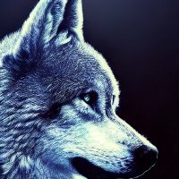 さすらい狼 (@pzhhugwaatqjqsm) 's Twitter Profile Photo さすらい狼 (@pzhhugwaatqjqsm) 's Twitter Profile Photo