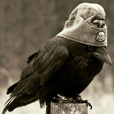 Mangletime1's profile picture. 
