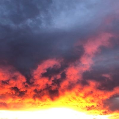 EasterWing2230's profile picture. 