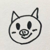 ぶーちゃん( '•Ꙫ• ' ) (@syuriver1) Twitter profile photo