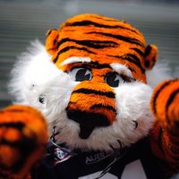 Auburn Public Relations Dept. (@rustyharris7) 's Twitter Profile