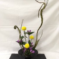 （仮称）信州大学華道部？サークル？ (@k_gch_y) Twitter profile photo