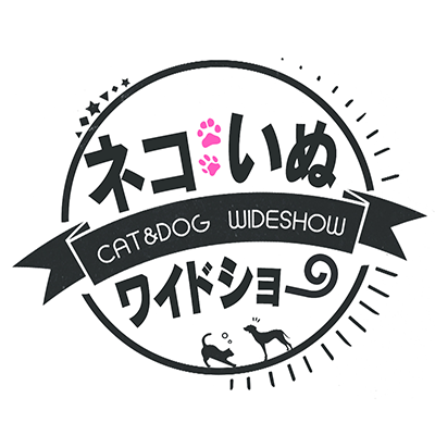 テレビ史上初！？ネコといぬの話題だけを紹介するワイドショー 
BS朝日「ネコいぬワイドショー」１０月から金曜よる１０時に！ 
🐱🐶”笑撃”事件から最新🐱🐶グッズ🐱🐶リノベ住宅
保護🐱🐶感動秘話まで🐱🐶情報だらけ至福の３０分です！
 司会：森千晴 🐱コメンテーター：さらば森田