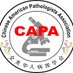Chinese American Pathologists Association (@CAPA_comm) Twitter profile photo