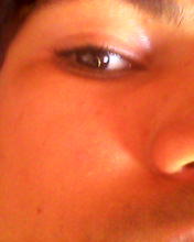 brunopaz95's profile picture. 