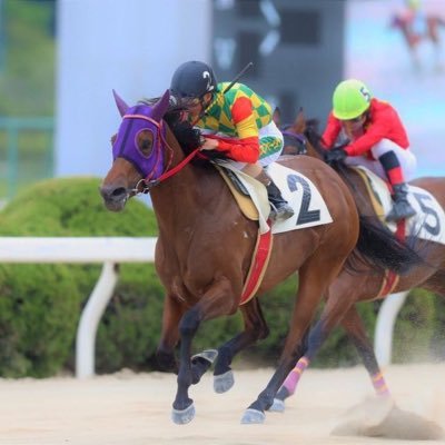 佐賀競馬場で騎手をしています🏇                よろしくお願いします！