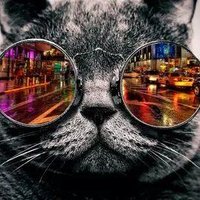 Amarily Fowler (@ngsarall75) 's Twitter Profile