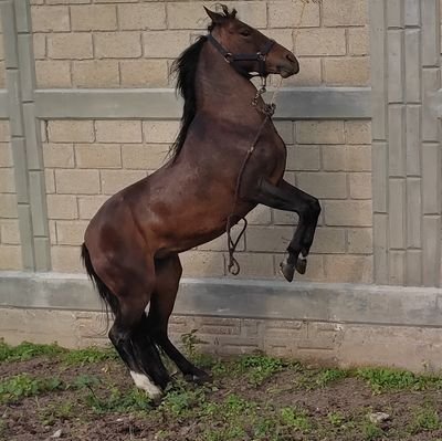 ttmaclea's profile picture. 