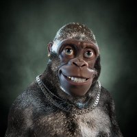 Peer Fights (@peer_fights) 's Twitter Profile