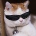 CrushedGG 😼 (@crushedgg) Twitter profile photo CrushedGG 😼 (@crushedgg) Twitter profile photo