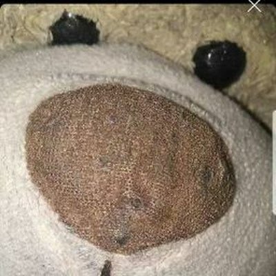 SlackingN's profile picture. 