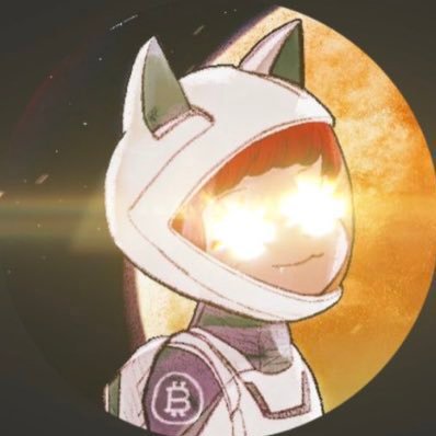 cat in a spacesuit. bitcoin class of today. non-GMO. on nostr. avatar by @funayfunay