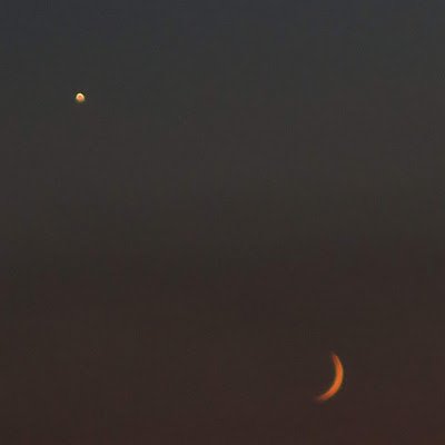 NiccolFormicon's profile picture. 