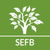 Syndicat des Exploitants de la Filière Bois (@sefbois) Twitter profile photo Syndicat des Exploitants de la Filière Bois (@sefbois) Twitter profile photo