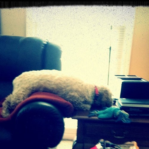 SneakersMysty's profile picture. 