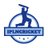 IPLnCricket