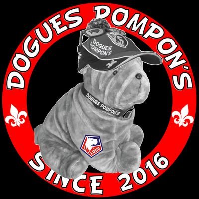 Dogues Pompons