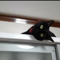 進龍一 (@ta4zcrbrr3re67o) 's Twitter Profile