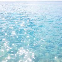 freespirit (@freespirit2025) 's Twitter Profile