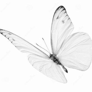 mable975's profile picture. 