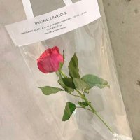 ❤︎ (@_6v6rx_) 's Twitter Profile