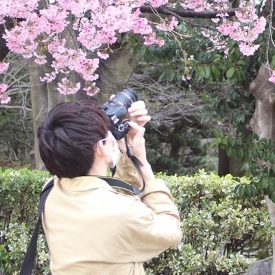 sinsuisui's profile picture. 趣味 カメラ📸
私の写真で良ければ
素材として使って下さい
もし素材として使う時はメッセージを貰えるとすごく嬉しいです☺