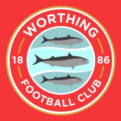 Official twitter account of Worthing FC Women ⚽️🔴 Members of The FA Women's National League Division One South East #WorthingFC