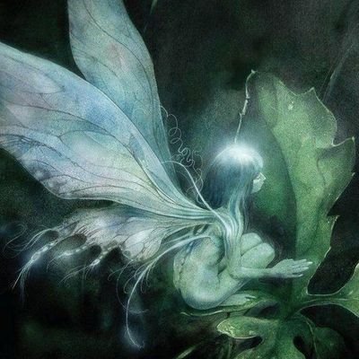 لطفا این روزا پشت هم باشیم فالو کنید بک میدم برای #مهسا_امینی