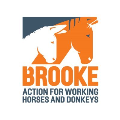 Latest news on working horses, donkeys and mules around the world from @TheBrooke. For media enquiries call 0207 653 5843 or email press@thebrooke.org